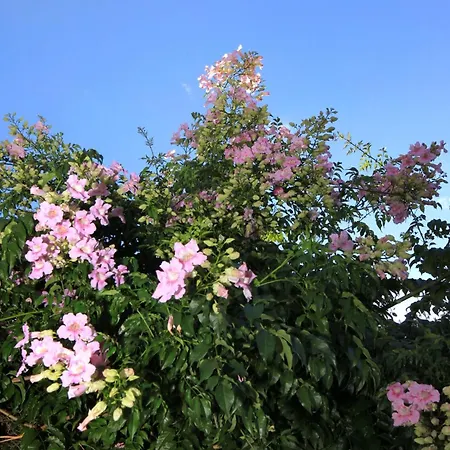 아파트 By The Sea - 157 *