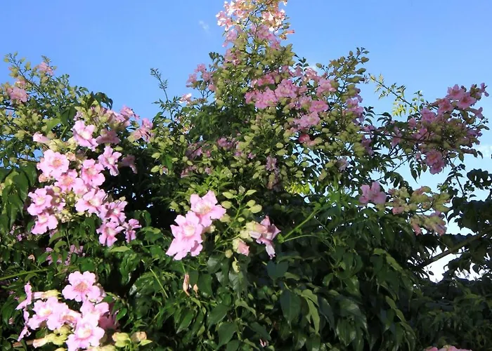 아파트 By The Sea - 157 *